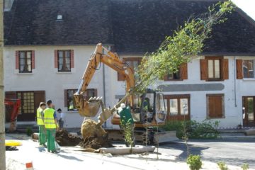 plantation arbre gros sujet -Vicq-sur-Breuilh- paysagiste ALUPA