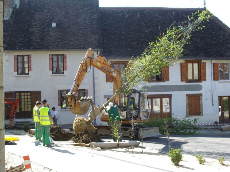 plantation arbre gros sujet -Vicq-sur-Breuilh- paysagiste ALUPA